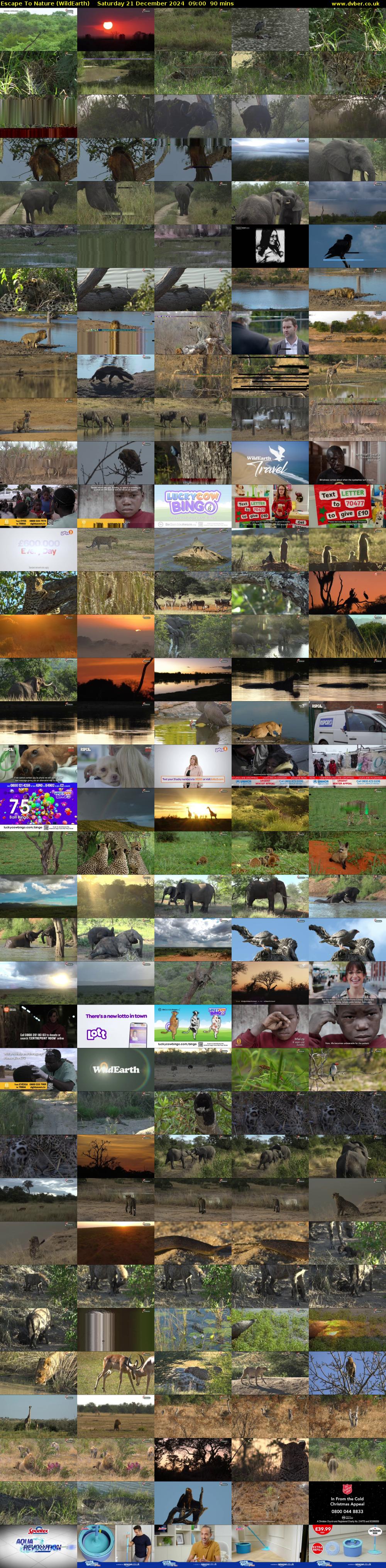 Escape To Nature (WildEarth) Saturday 21 December 2024 09:00 - 10:30