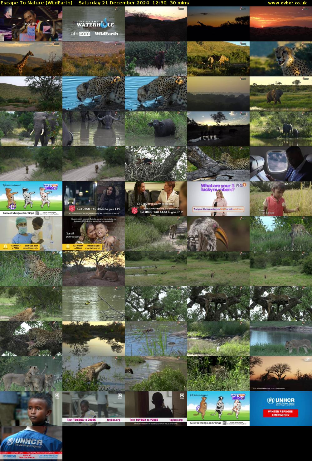 Escape To Nature (WildEarth) Saturday 21 December 2024 12:30 - 13:00
