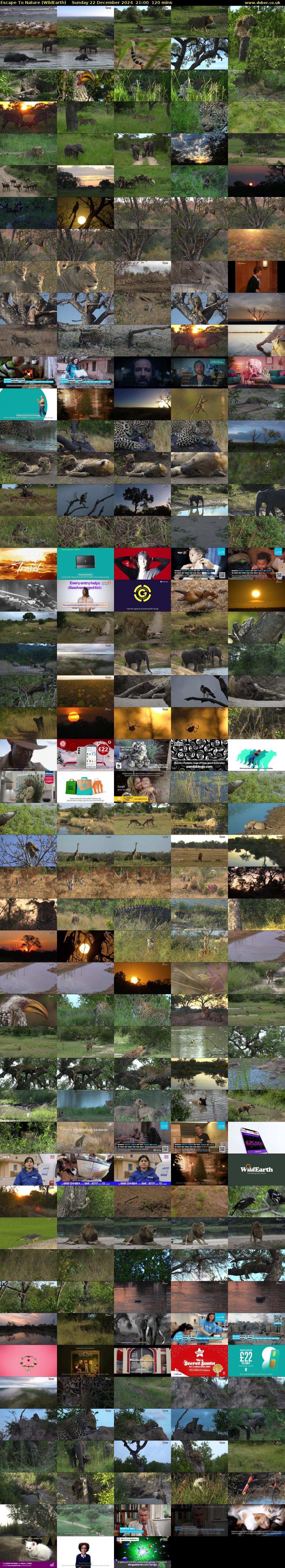 Escape To Nature (WildEarth) Sunday 22 December 2024 21:00 - 23:00