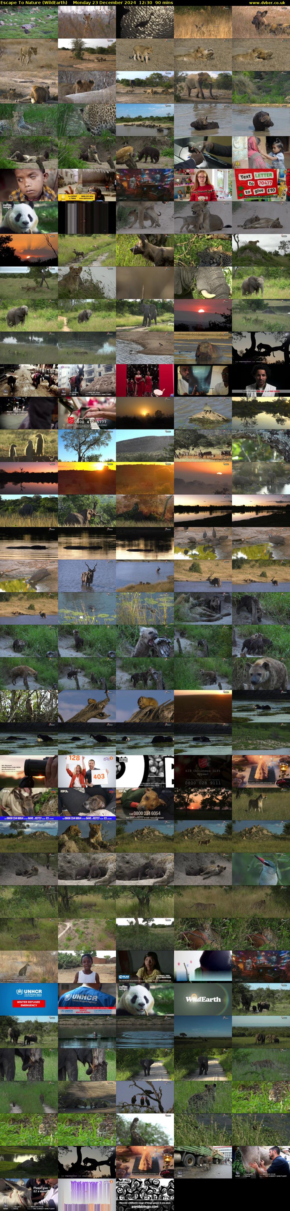 Escape To Nature (WildEarth) Monday 23 December 2024 12:30 - 14:00