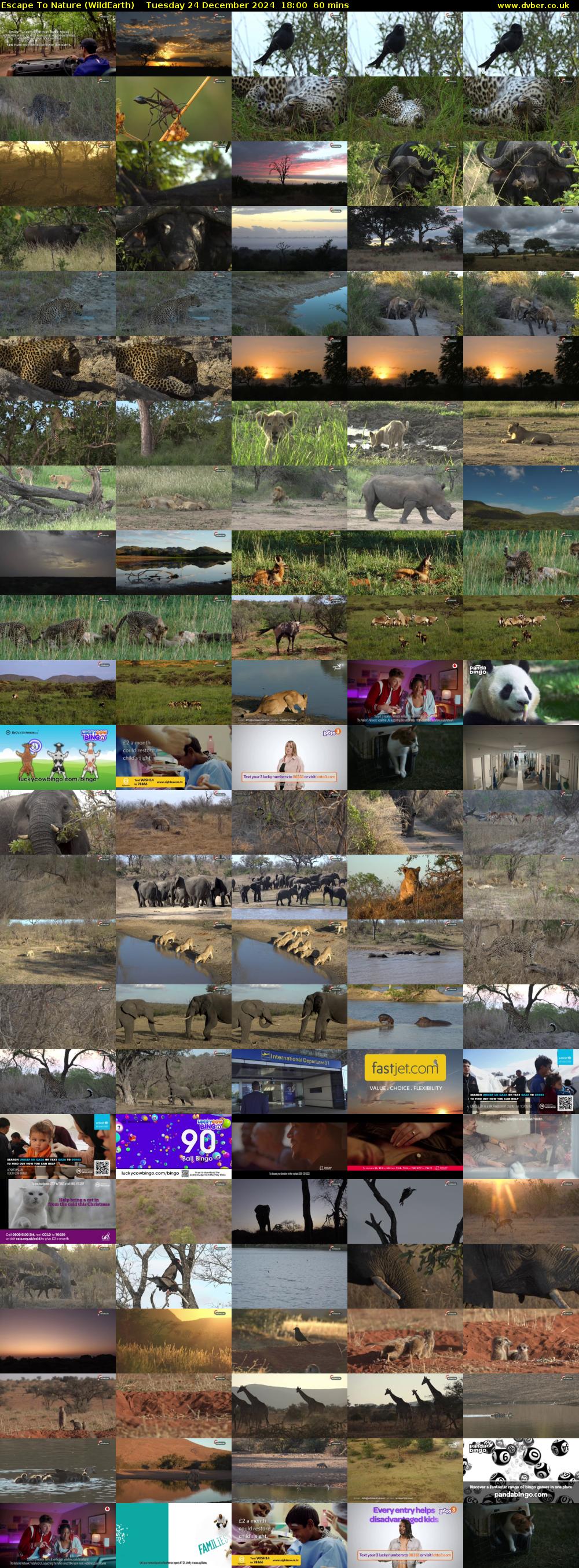 Escape To Nature (WildEarth) Tuesday 24 December 2024 18:00 - 19:00