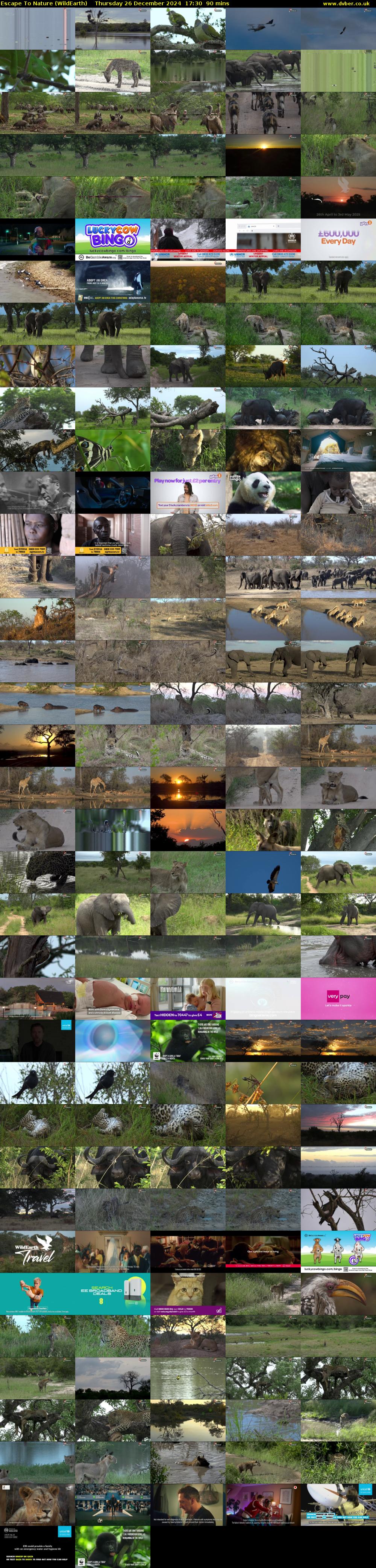 Escape To Nature (WildEarth) Thursday 26 December 2024 17:30 - 19:00