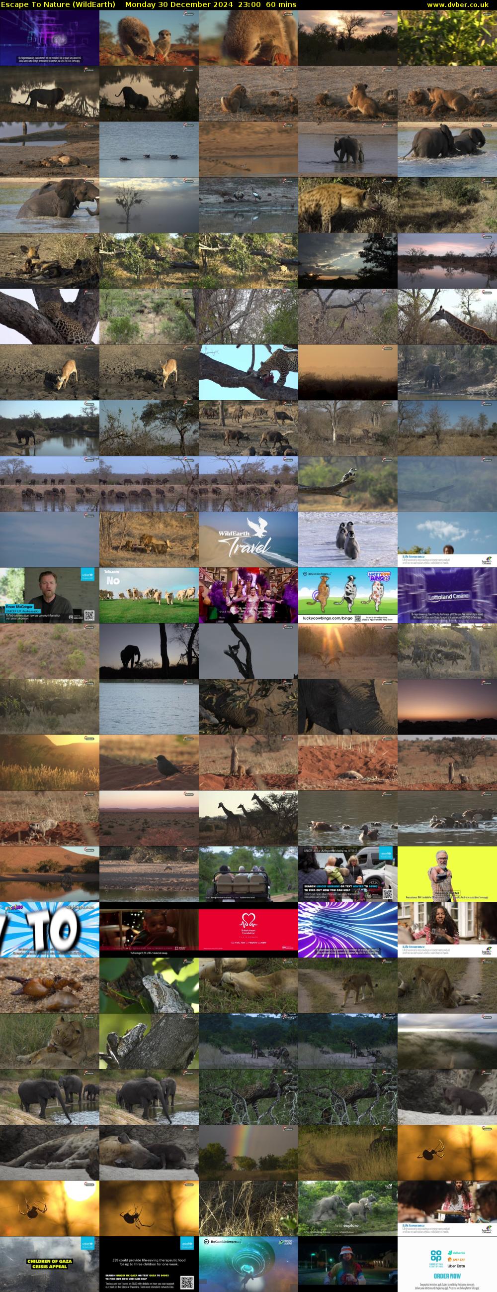 Escape To Nature (WildEarth) Monday 30 December 2024 23:00 - 00:00