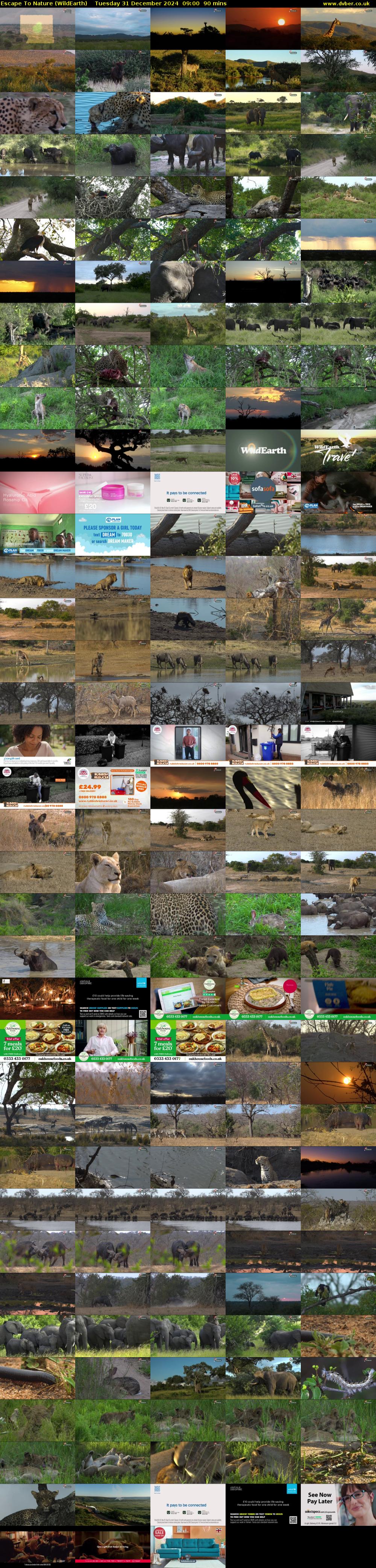 Escape To Nature (WildEarth) Tuesday 31 December 2024 09:00 - 10:30