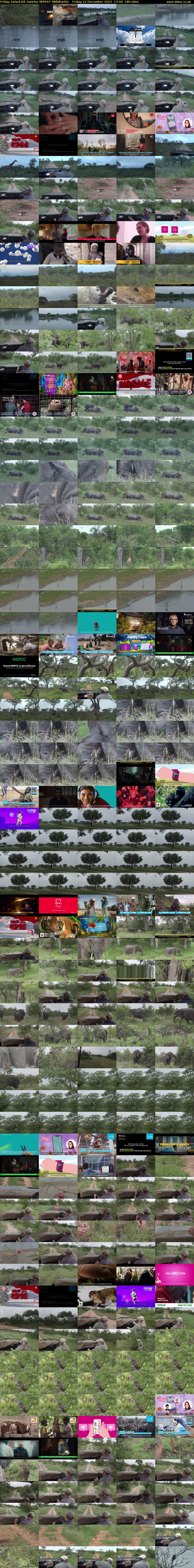 Friday SafariLIVE Sunrise REPEAT (WildEarth) Friday 22 December 2023 17:00 - 20:00