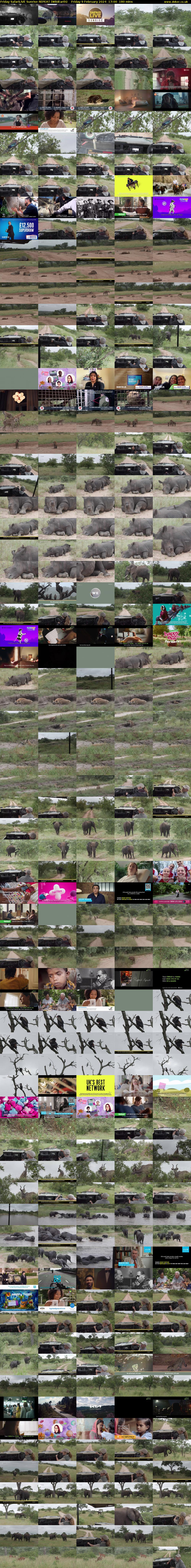 Friday SafariLIVE Sunrise REPEAT (WildEarth) Friday 9 February 2024 17:00 - 20:00