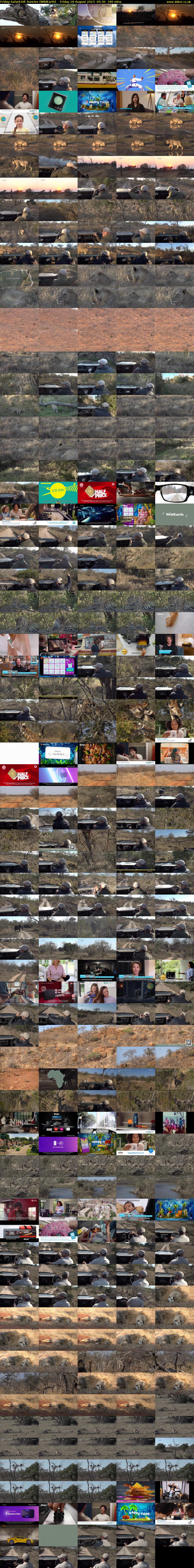 Friday SafariLIVE Sunrise (WildEarth) Friday 18 August 2023 05:30 - 08:30