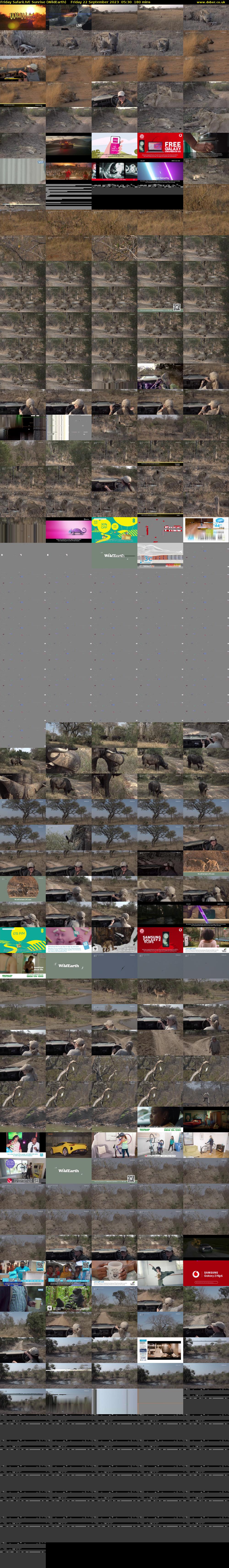 Friday SafariLIVE Sunrise (WildEarth) Friday 22 September 2023 05:30 - 08:30