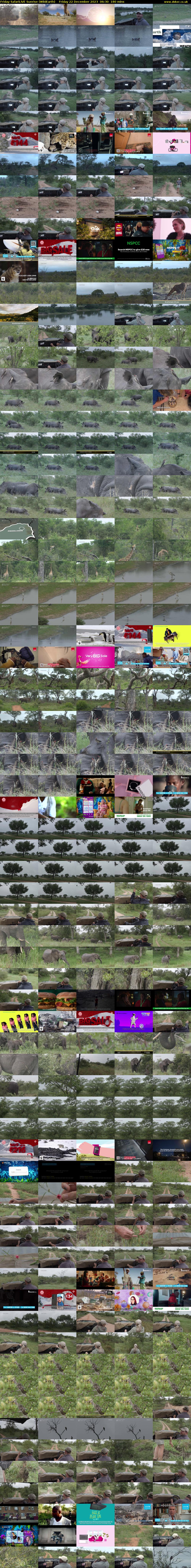 Friday SafariLIVE Sunrise (WildEarth) Friday 22 December 2023 06:30 - 09:30