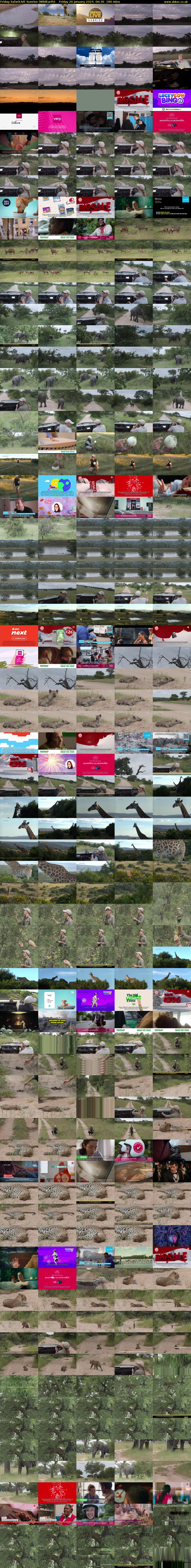 Friday SafariLIVE Sunrise (WildEarth) Friday 26 January 2024 06:30 - 09:30