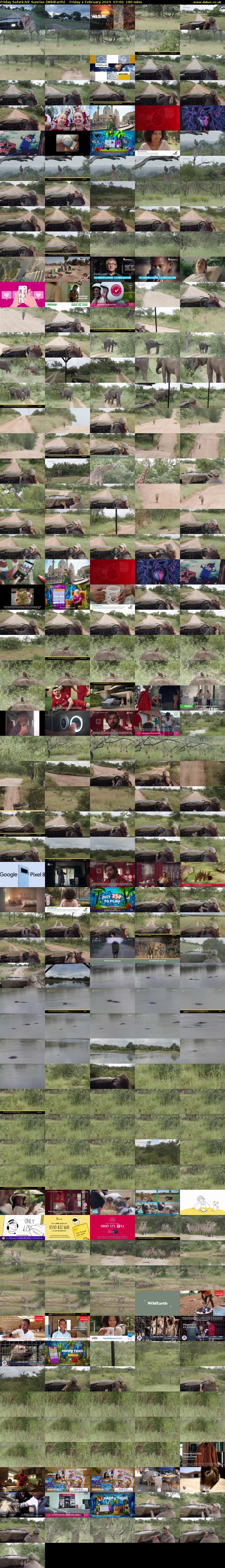 Friday SafariLIVE Sunrise (WildEarth) Friday 2 February 2024 07:00 - 10:00