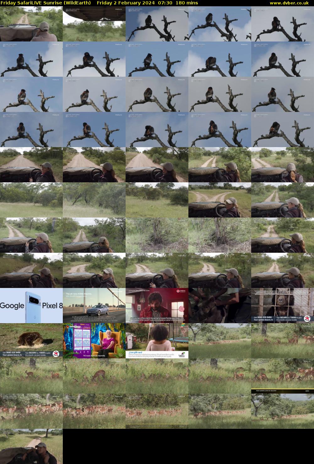Friday SafariLIVE Sunrise (WildEarth) Friday 2 February 2024 07:30 - 10:30