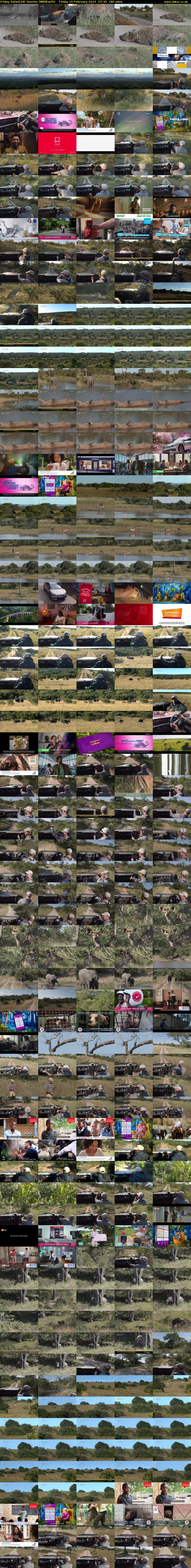 Friday SafariLIVE Sunrise (WildEarth) Friday 16 February 2024 07:30 - 10:30