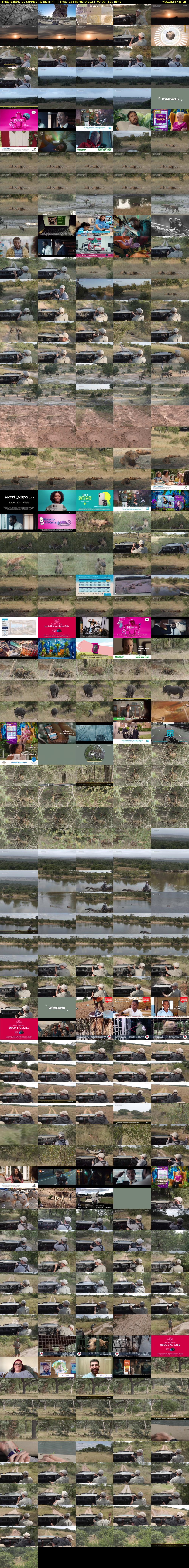 Friday SafariLIVE Sunrise (WildEarth) Friday 23 February 2024 07:30 - 10:30