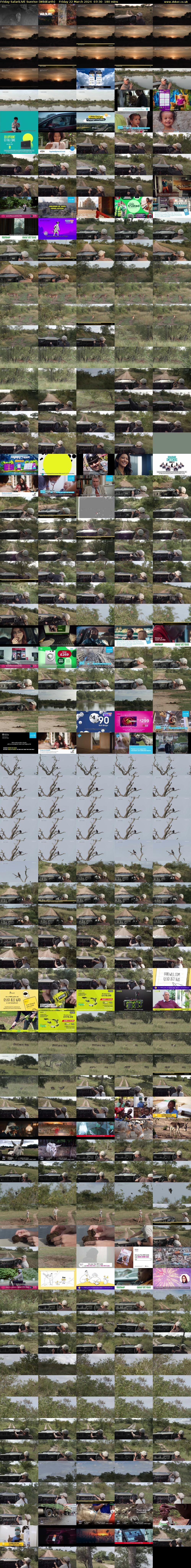 Friday SafariLIVE Sunrise (WildEarth) Friday 22 March 2024 07:30 - 10:30
