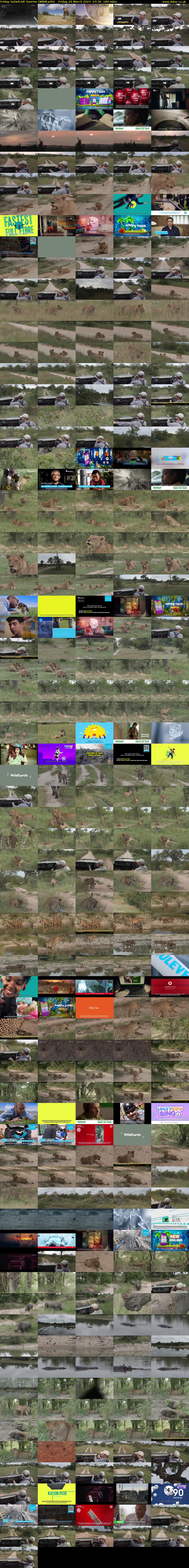 Friday SafariLIVE Sunrise (WildEarth) Friday 29 March 2024 07:30 - 10:30