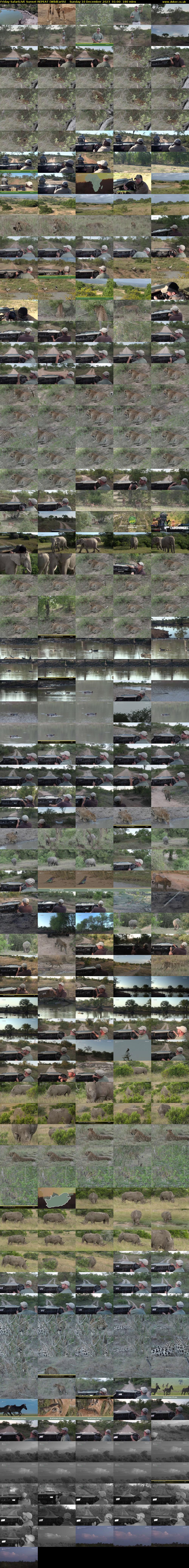 Friday SafariLIVE Sunset REPEAT (WildEarth) Sunday 10 December 2023 01:00 - 04:00