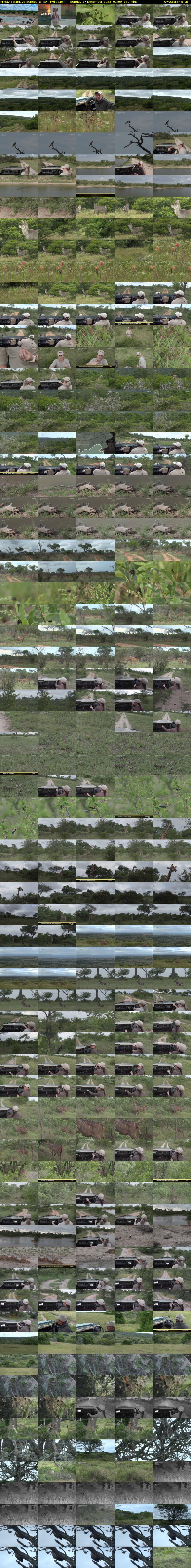Friday SafariLIVE Sunset REPEAT (WildEarth) Sunday 17 December 2023 01:00 - 04:00