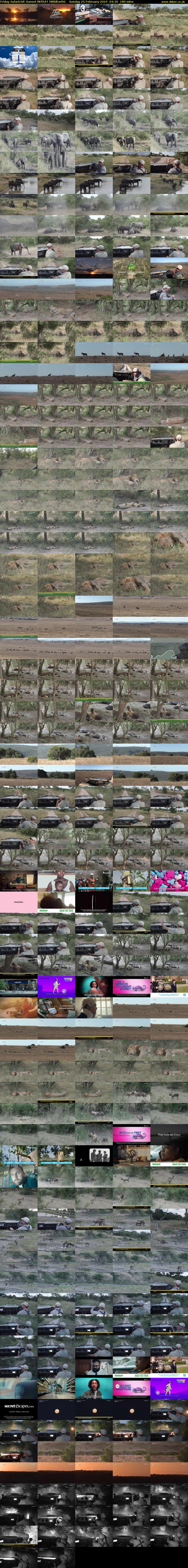 Friday SafariLIVE Sunset REPEAT (WildEarth) Sunday 25 February 2024 04:30 - 07:30
