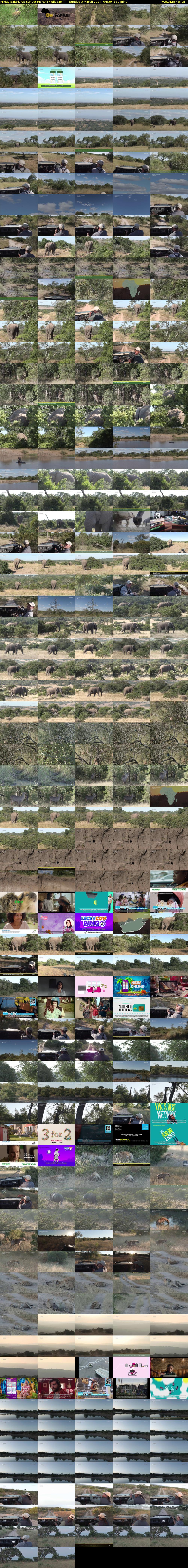 Friday SafariLIVE Sunset REPEAT (WildEarth) Sunday 3 March 2024 04:30 - 07:30