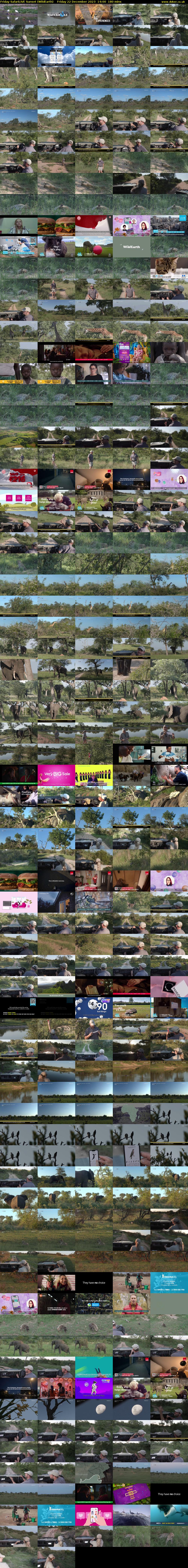 Friday SafariLIVE Sunset (WildEarth) Friday 22 December 2023 14:00 - 17:00