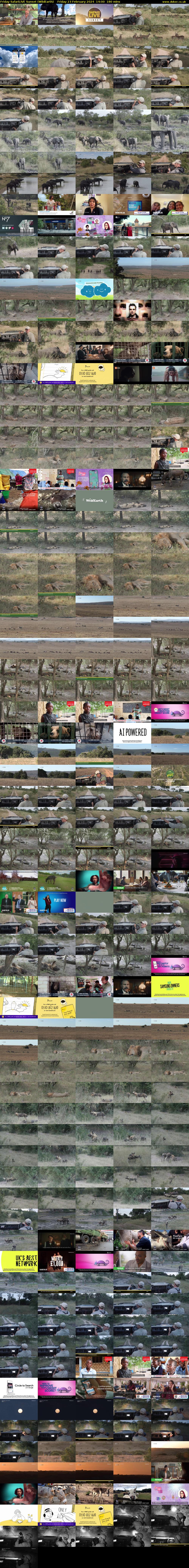 Friday SafariLIVE Sunset (WildEarth) Friday 23 February 2024 14:00 - 17:00