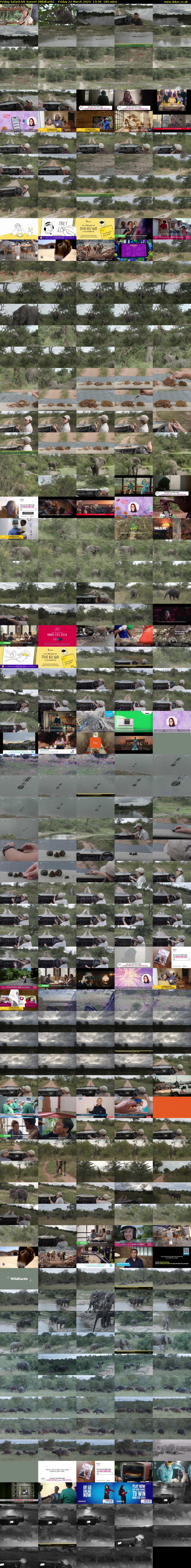 Friday SafariLIVE Sunset (WildEarth) Friday 22 March 2024 13:30 - 16:30