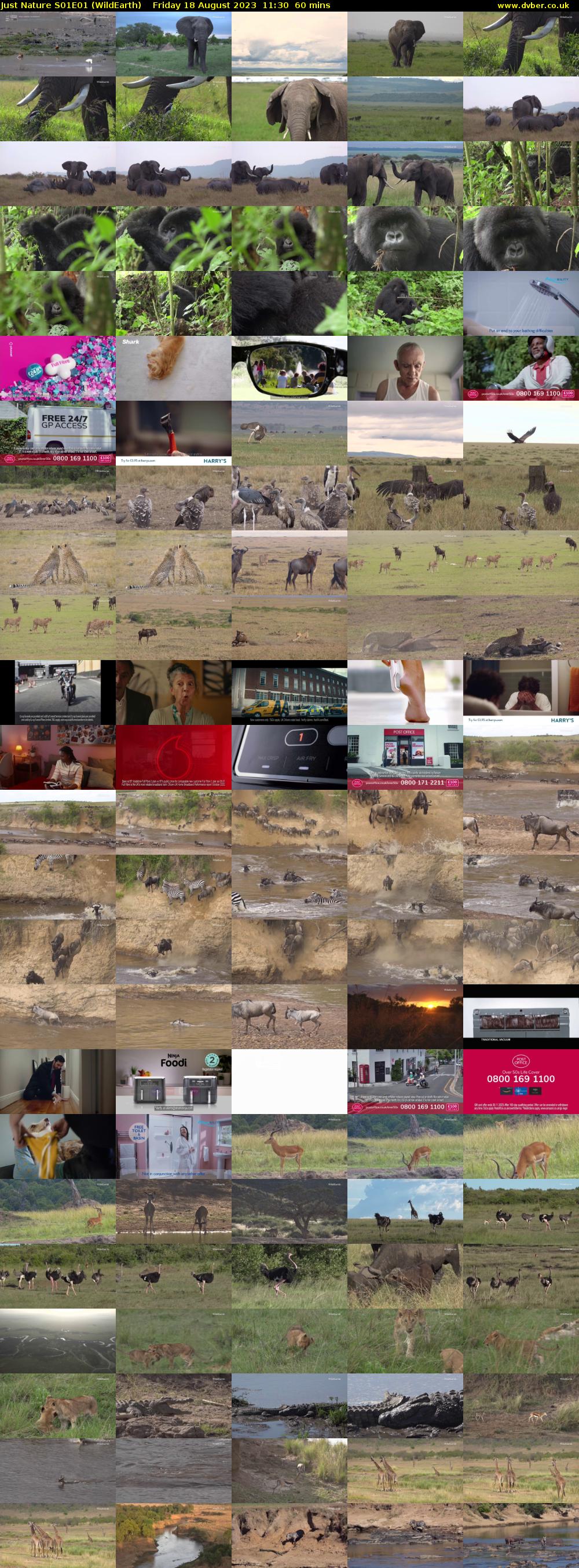 Just Nature S01E01 (WildEarth) Friday 18 August 2023 11:30 - 12:30