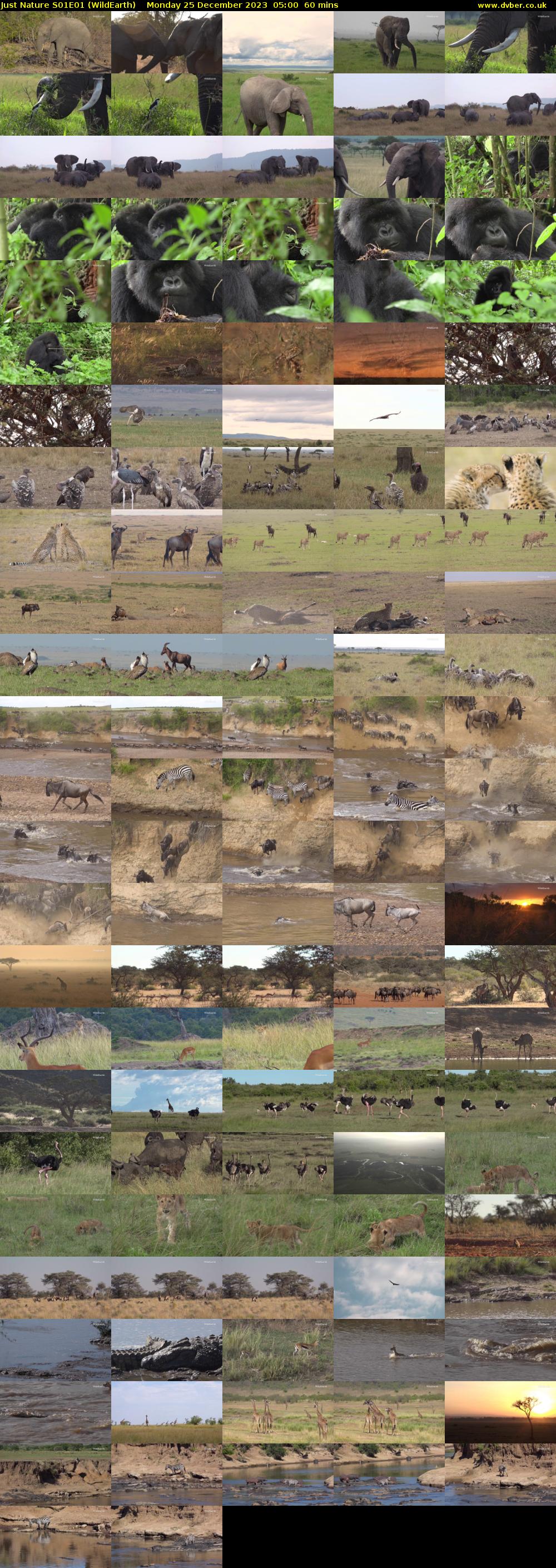 Just Nature S01E01 (WildEarth) Monday 25 December 2023 05:00 - 06:00
