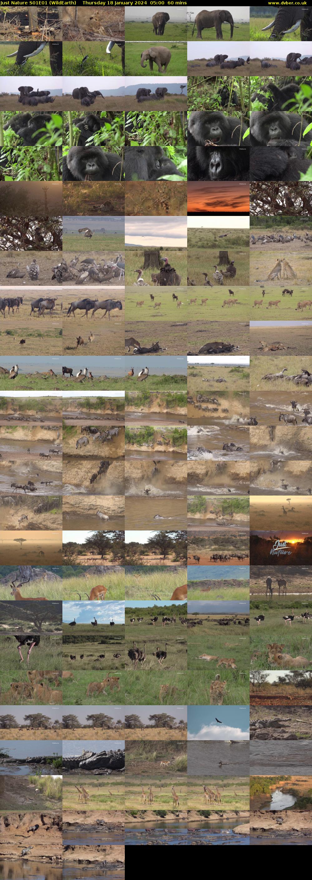 Just Nature S01E01 (WildEarth) Thursday 18 January 2024 05:00 - 06:00