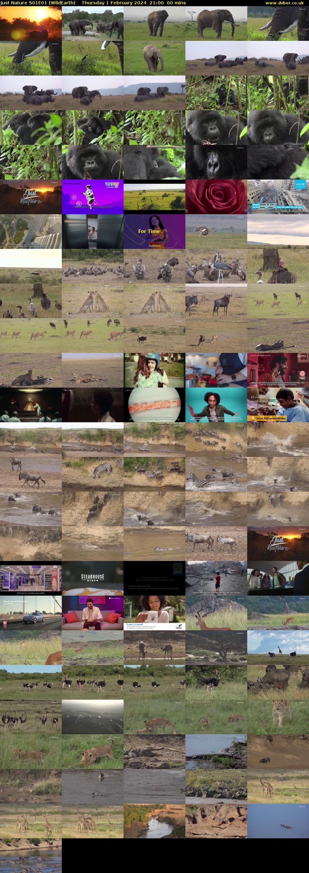 Just Nature S01E01 (WildEarth) Thursday 1 February 2024 21:00 - 22:00