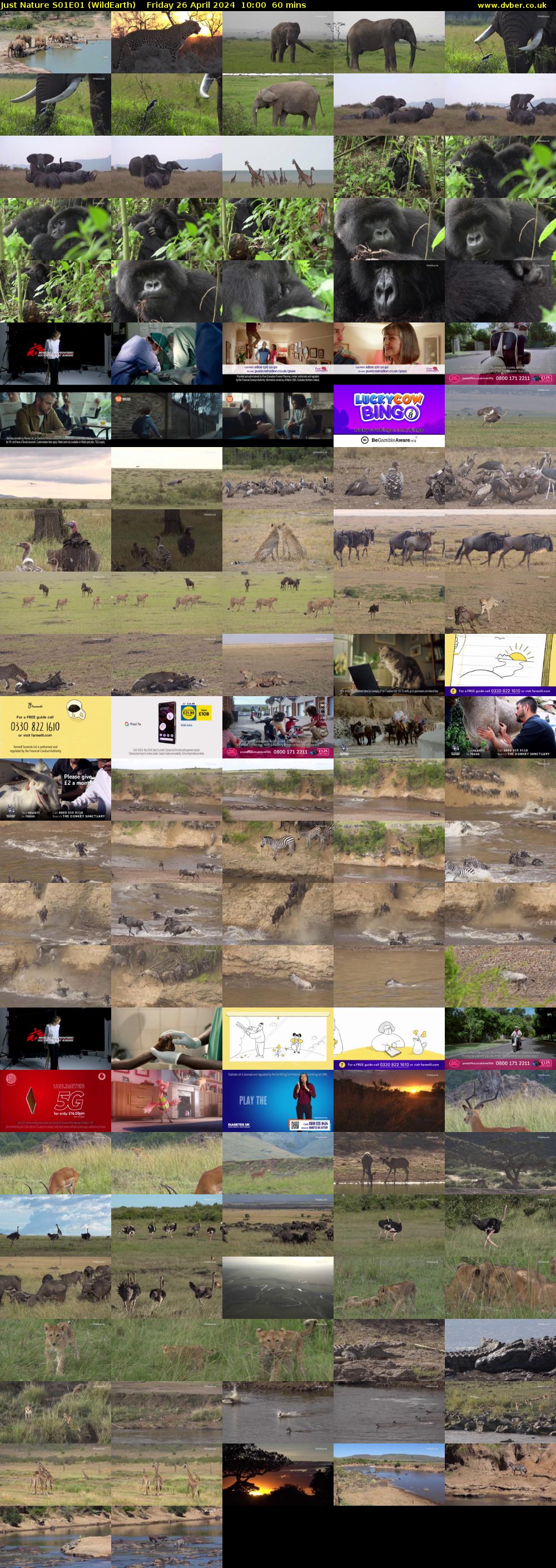Just Nature S01E01 (WildEarth) Friday 26 April 2024 10:00 - 11:00
