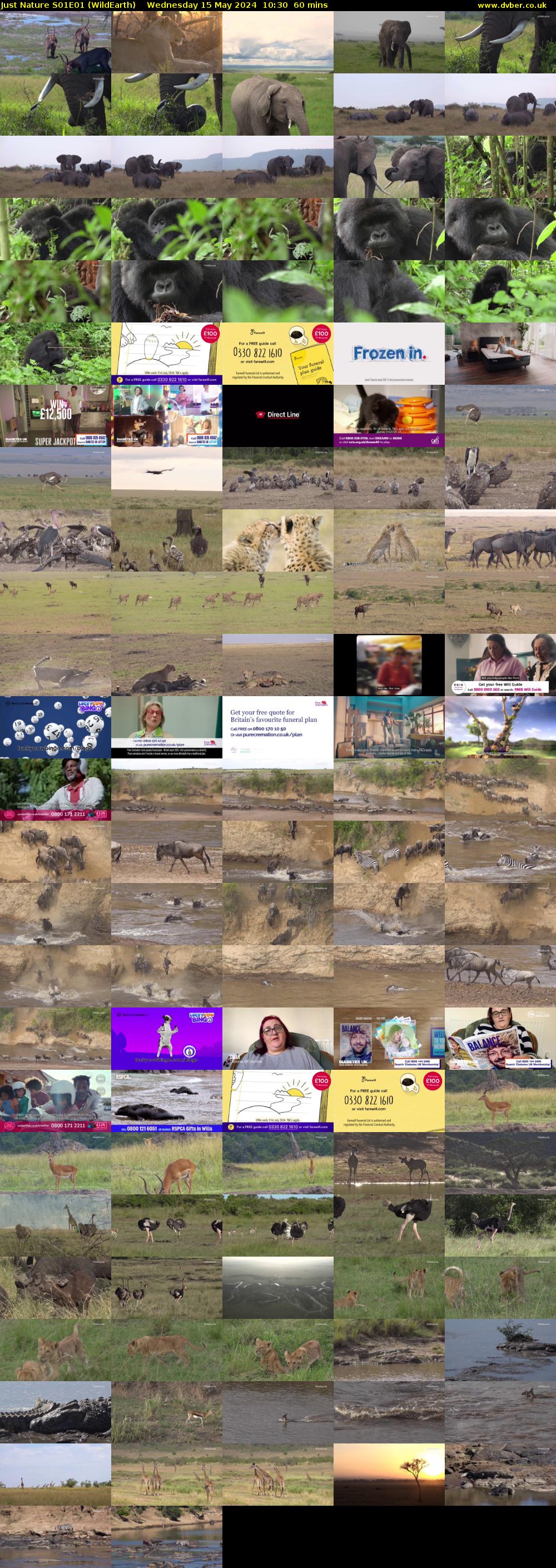Just Nature S01E01 (WildEarth) Wednesday 15 May 2024 10:30 - 11:30