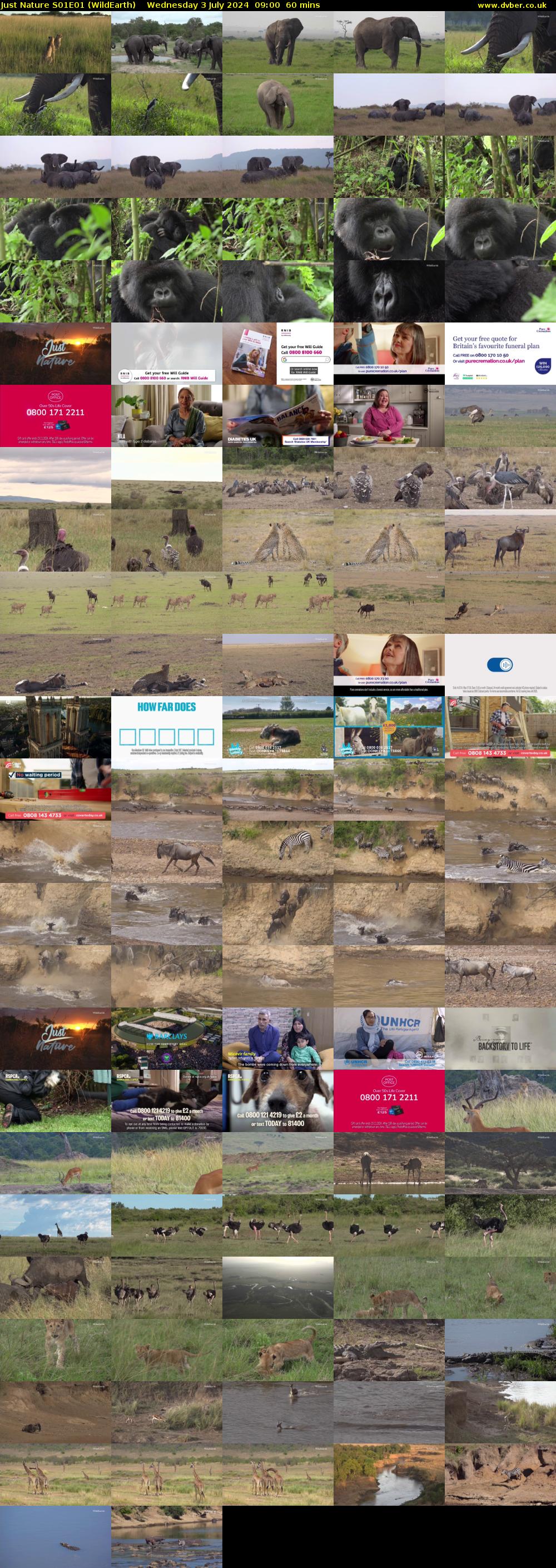 Just Nature S01E01 (WildEarth) Wednesday 3 July 2024 09:00 - 10:00
