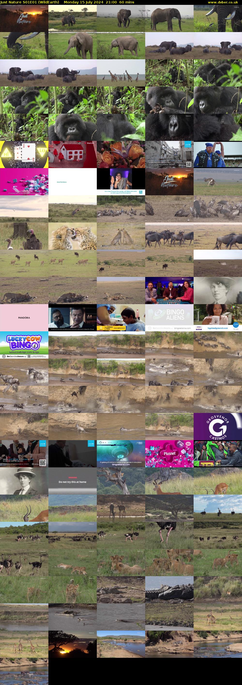 Just Nature S01E01 (WildEarth) Monday 15 July 2024 21:00 - 22:00