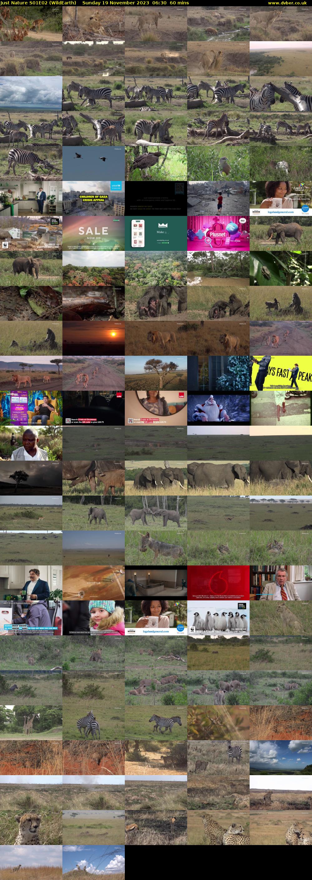 Just Nature S01E02 (WildEarth) Sunday 19 November 2023 06:30 - 07:30