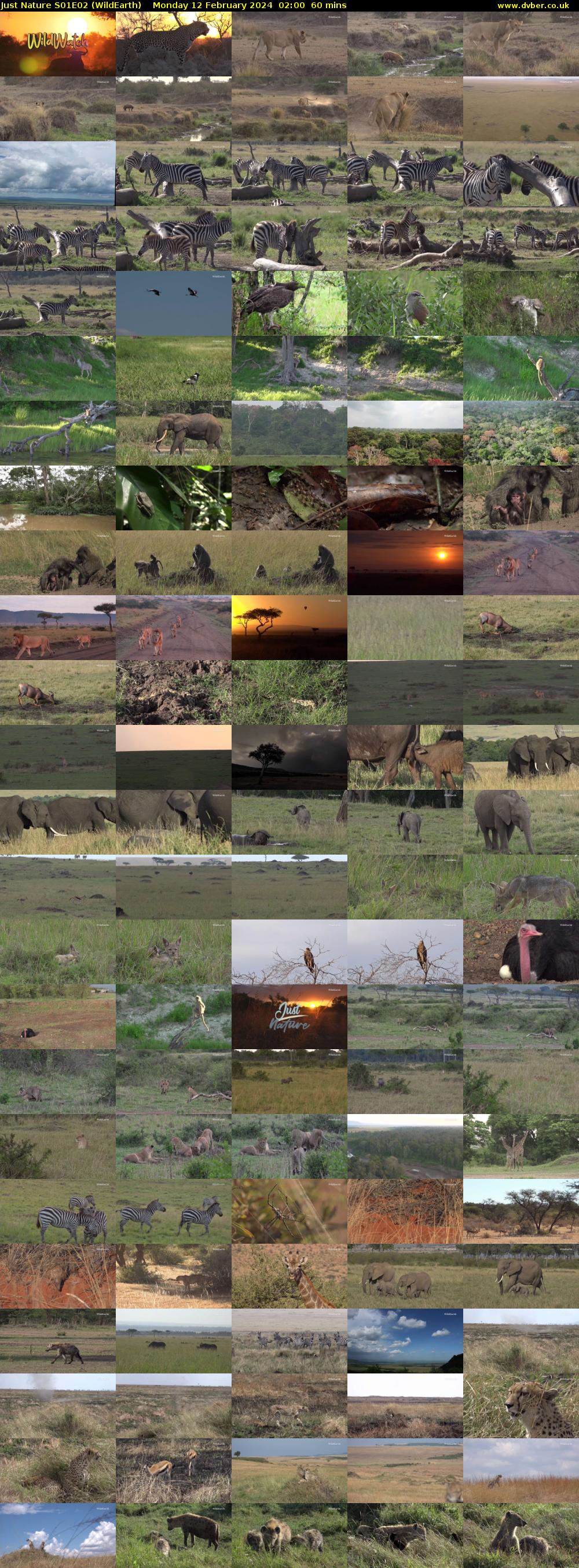 Just Nature S01E02 (WildEarth) Monday 12 February 2024 02:00 - 03:00