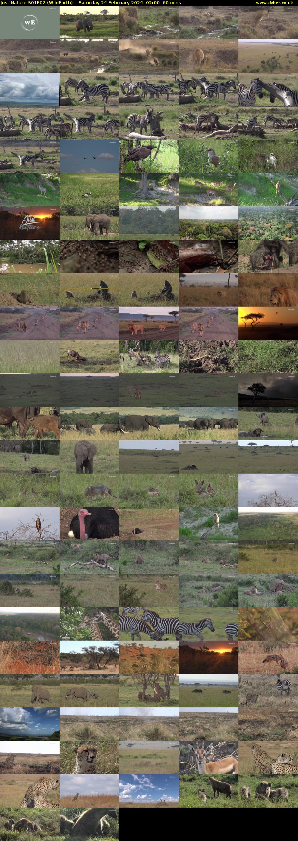 Just Nature S01E02 (WildEarth) Saturday 24 February 2024 02:00 - 03:00