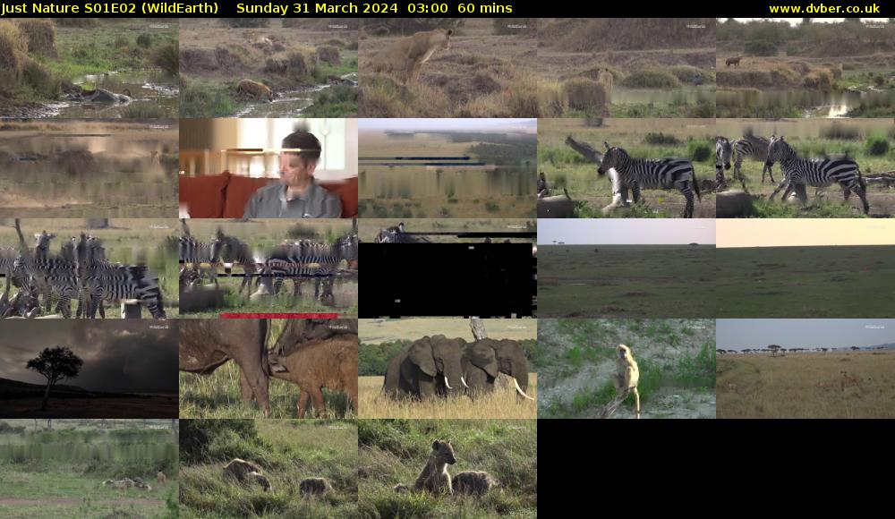 Just Nature S01E02 (WildEarth) Sunday 31 March 2024 03:00 - 04:00