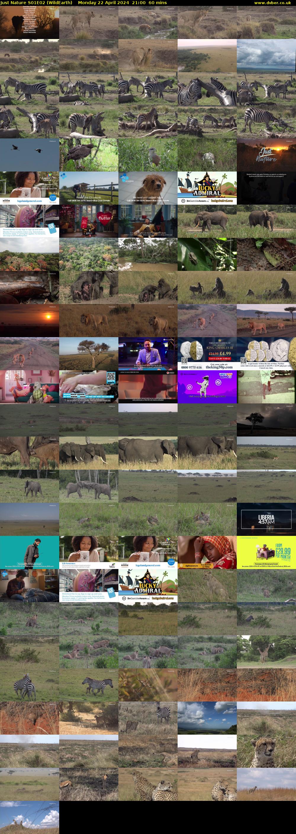 Just Nature S01E02 (WildEarth) Monday 22 April 2024 21:00 - 22:00