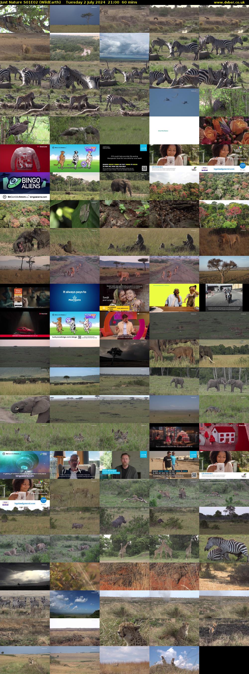 Just Nature S01E02 (WildEarth) Tuesday 2 July 2024 21:00 - 22:00