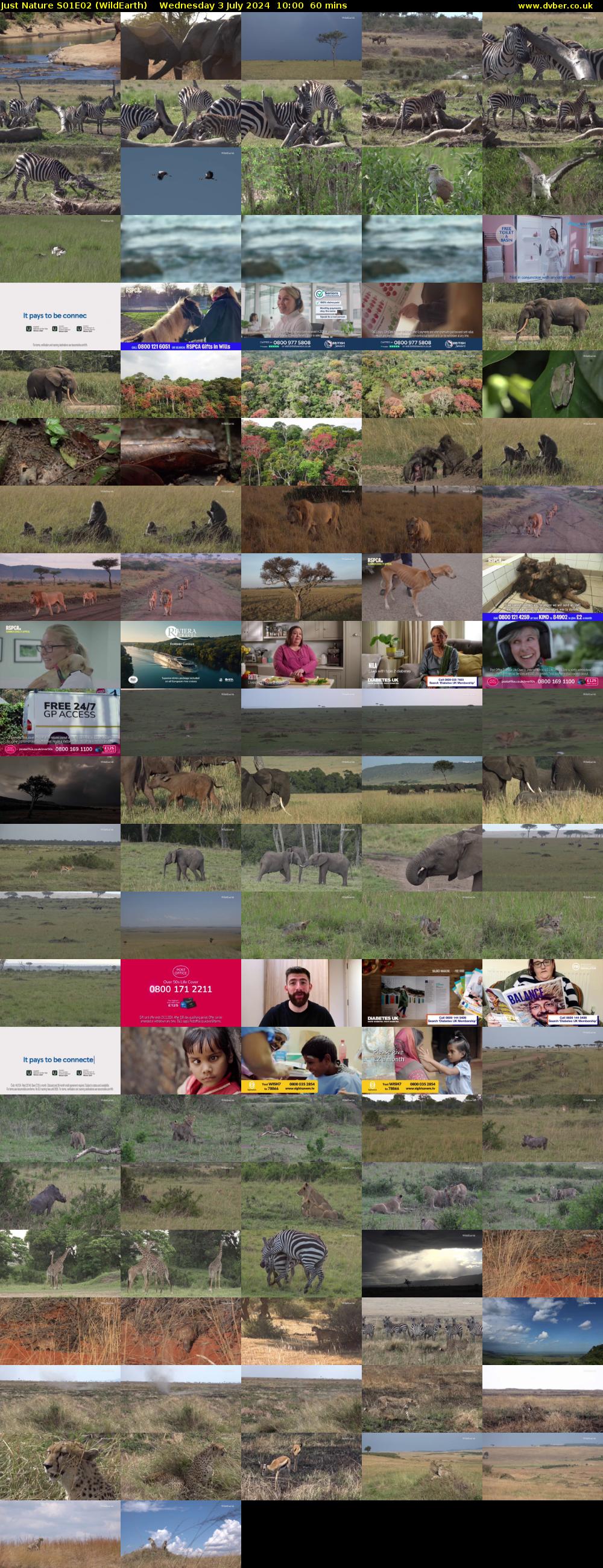 Just Nature S01E02 (WildEarth) Wednesday 3 July 2024 10:00 - 11:00