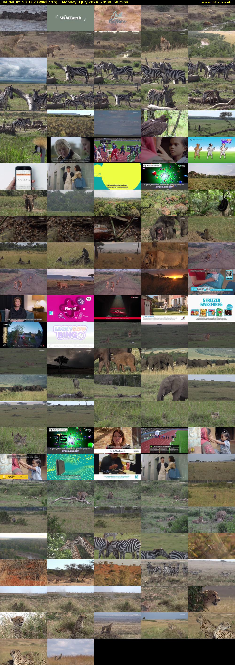 Just Nature S01E02 (WildEarth) Monday 8 July 2024 20:00 - 21:00