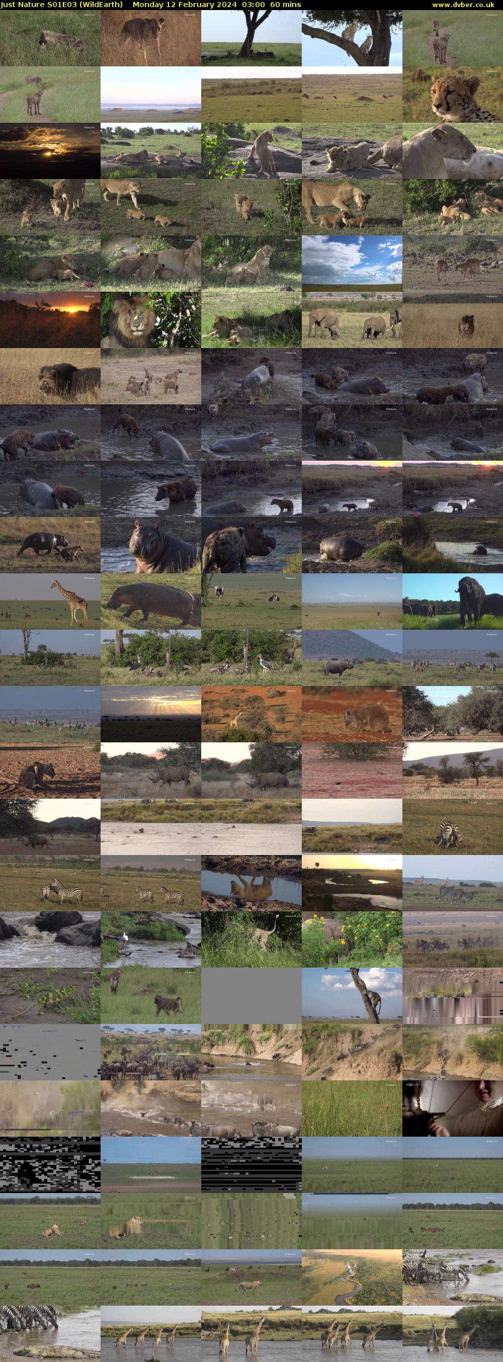 Just Nature S01E03 (WildEarth) Monday 12 February 2024 03:00 - 04:00