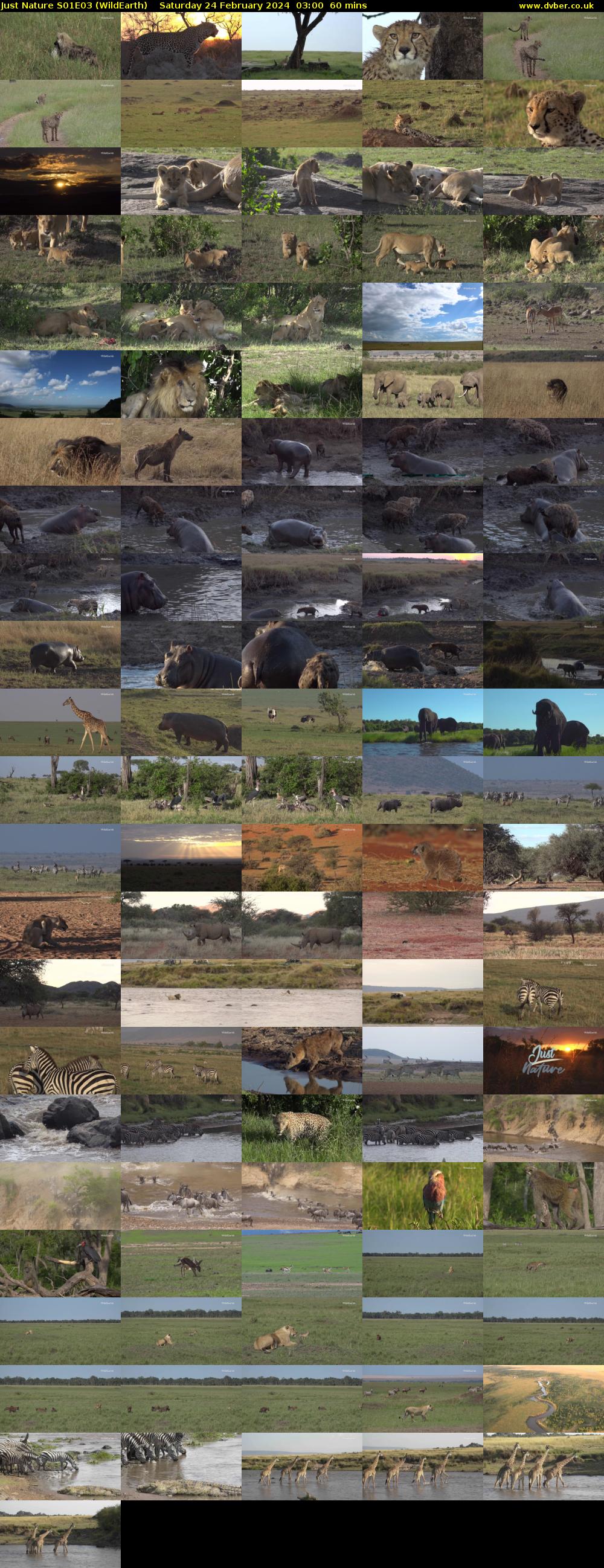 Just Nature S01E03 (WildEarth) Saturday 24 February 2024 03:00 - 04:00