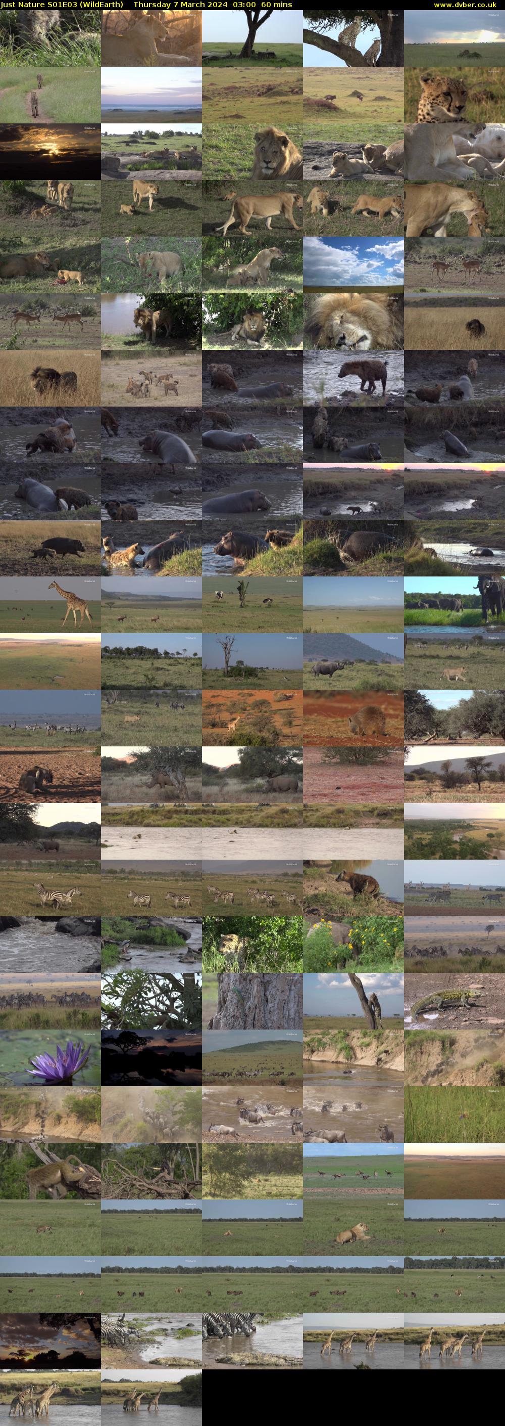 Just Nature S01E03 (WildEarth) Thursday 7 March 2024 03:00 - 04:00