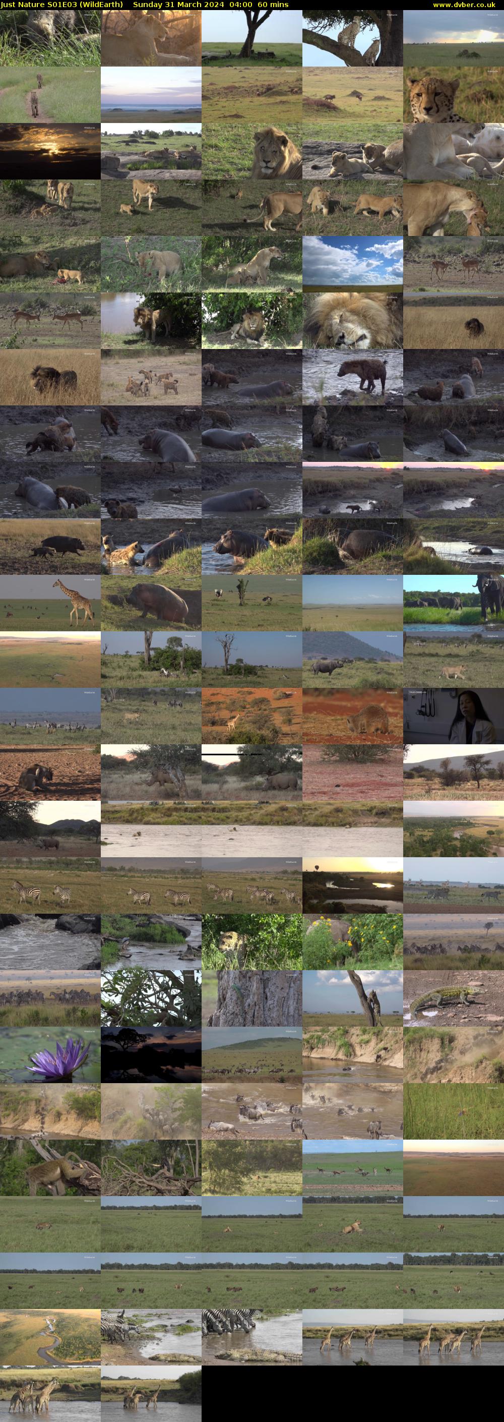 Just Nature S01E03 (WildEarth) Sunday 31 March 2024 04:00 - 05:00