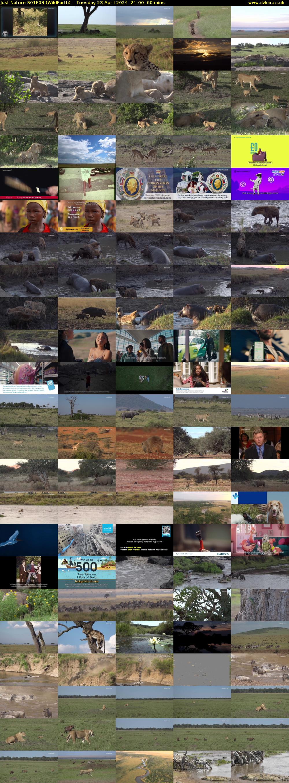Just Nature S01E03 (WildEarth) Tuesday 23 April 2024 21:00 - 22:00
