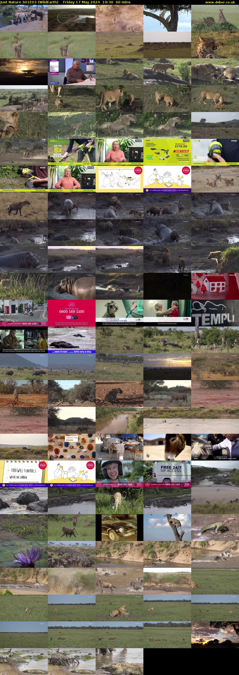 Just Nature S01E03 (WildEarth) Friday 17 May 2024 10:30 - 11:30