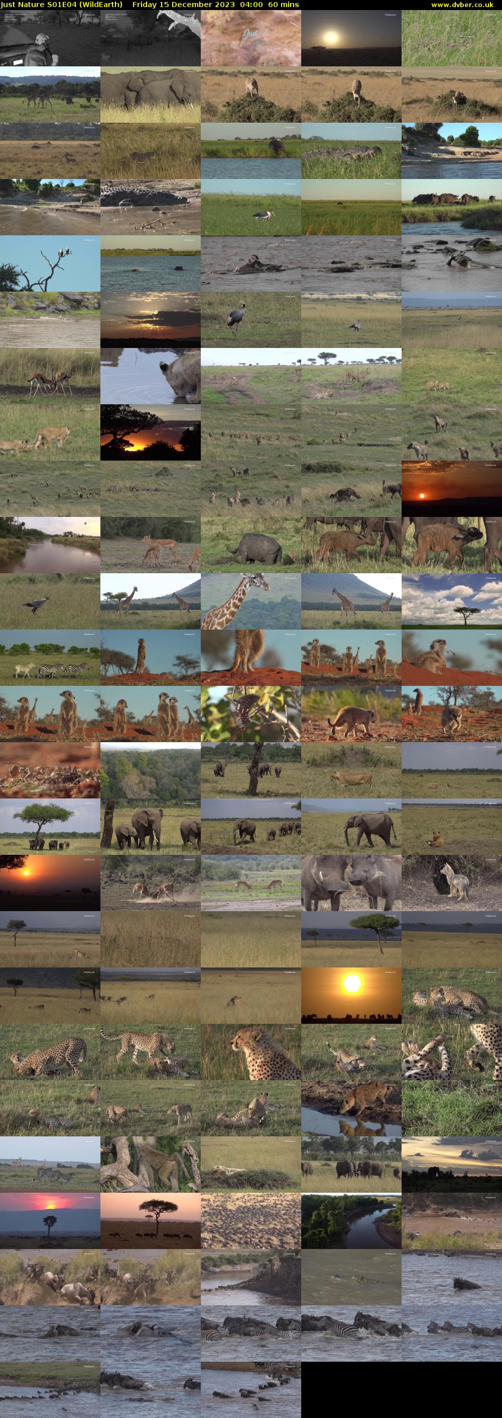 Just Nature S01E04 (WildEarth) Friday 15 December 2023 04:00 - 05:00